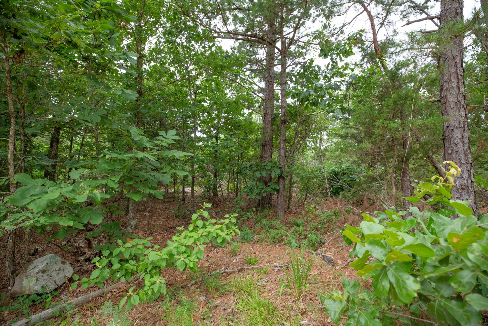 Eagle’s Nest Tract 39 photo 8