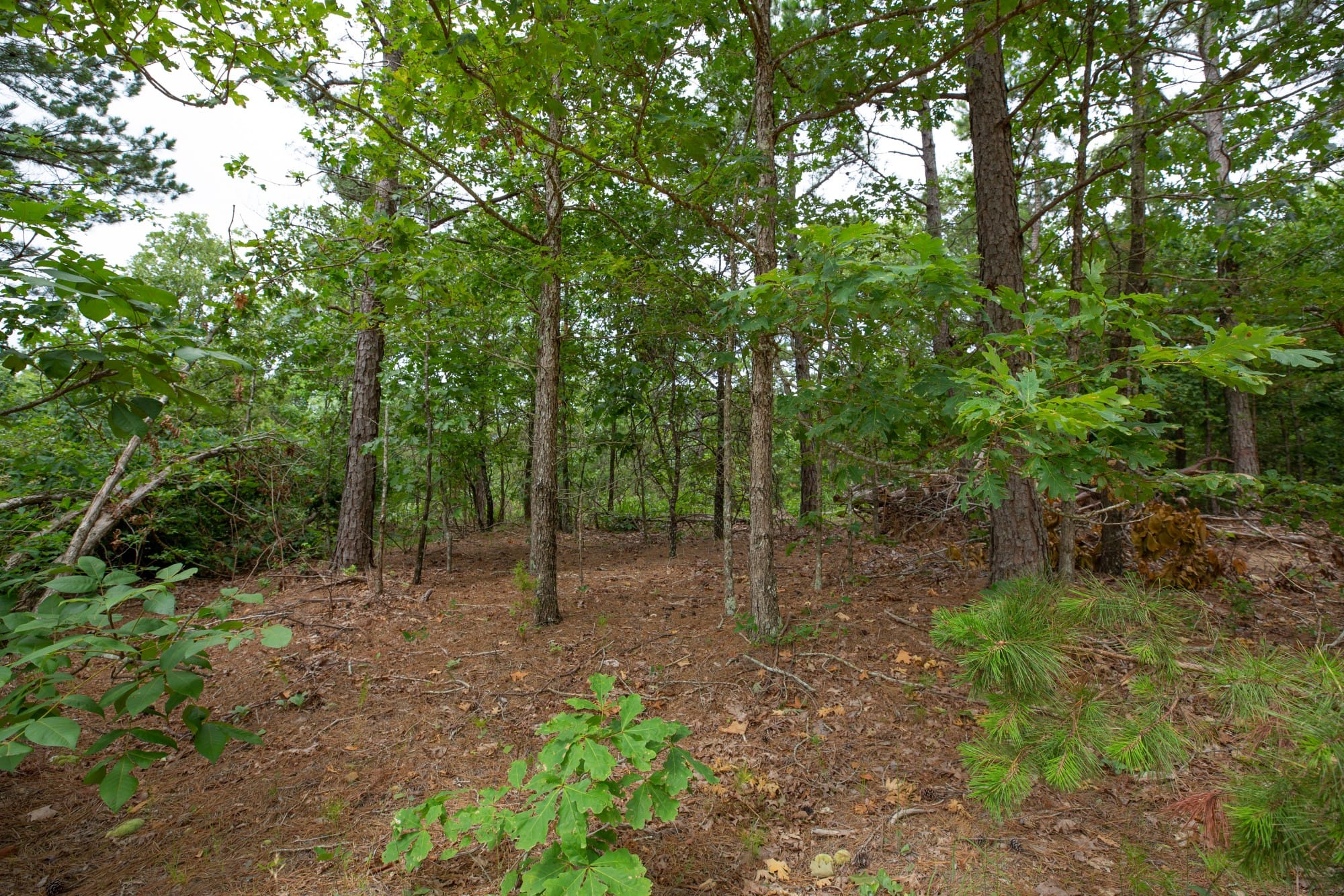 Eagle’s Nest Tract 39 photo 9