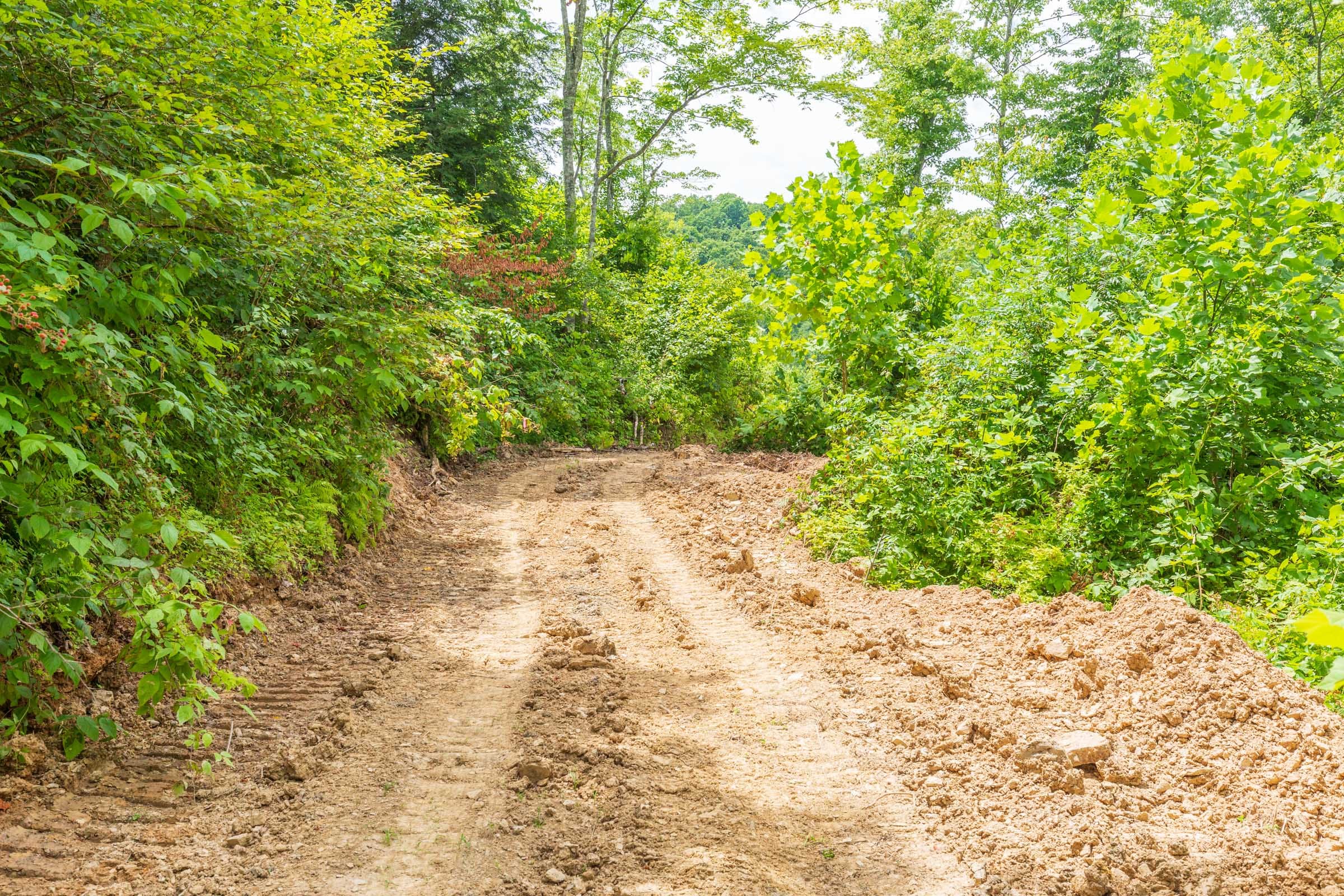 River’s Edge Tract 12 photo 1