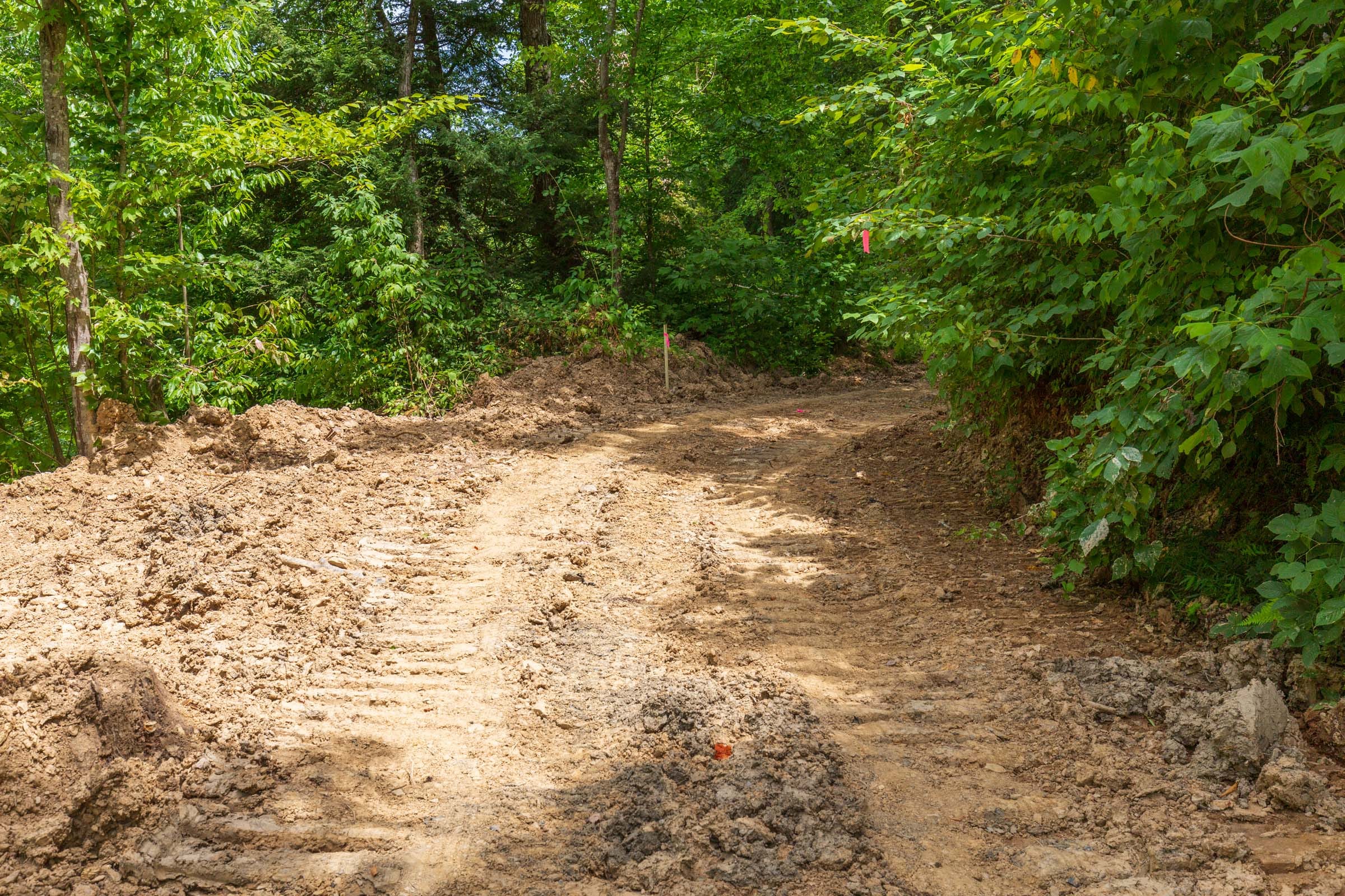 River’s Edge Tract 12 photo 6