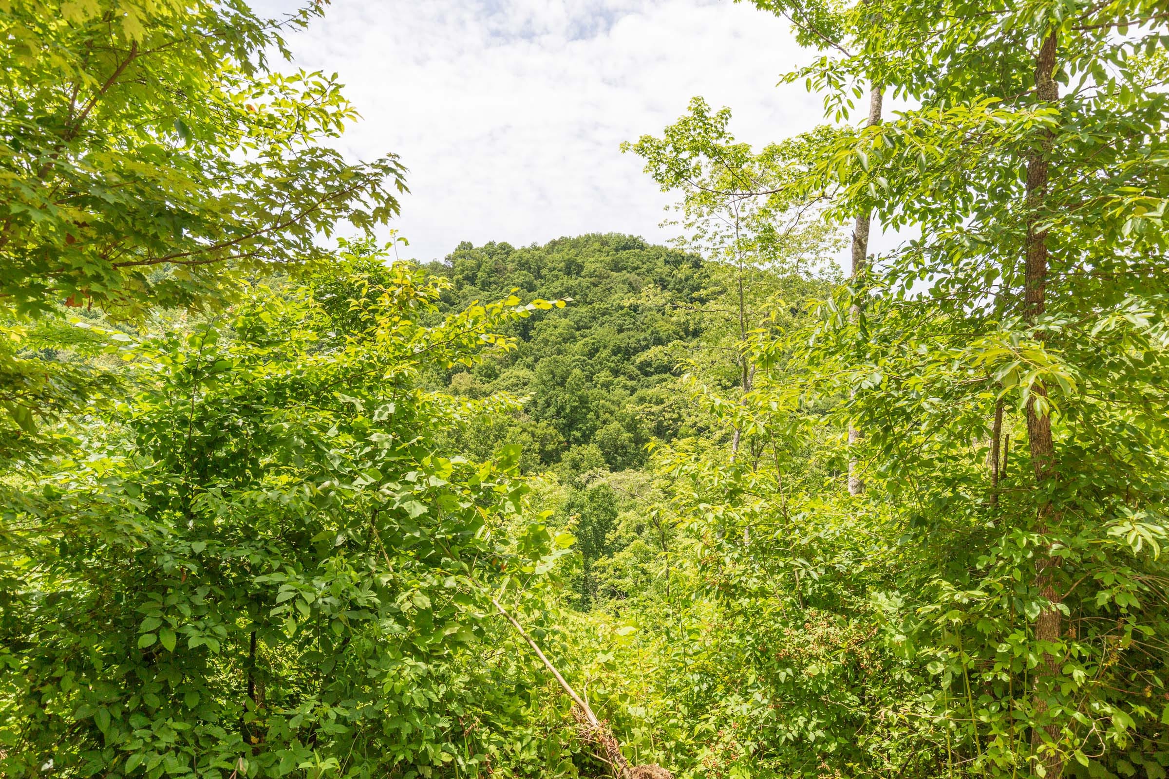 River’s Edge Tract 12 photo 8