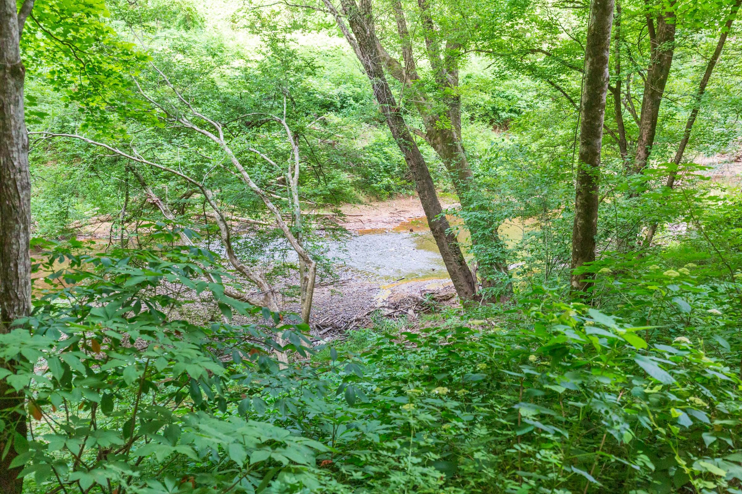 River’s Edge Tract 12 photo 2