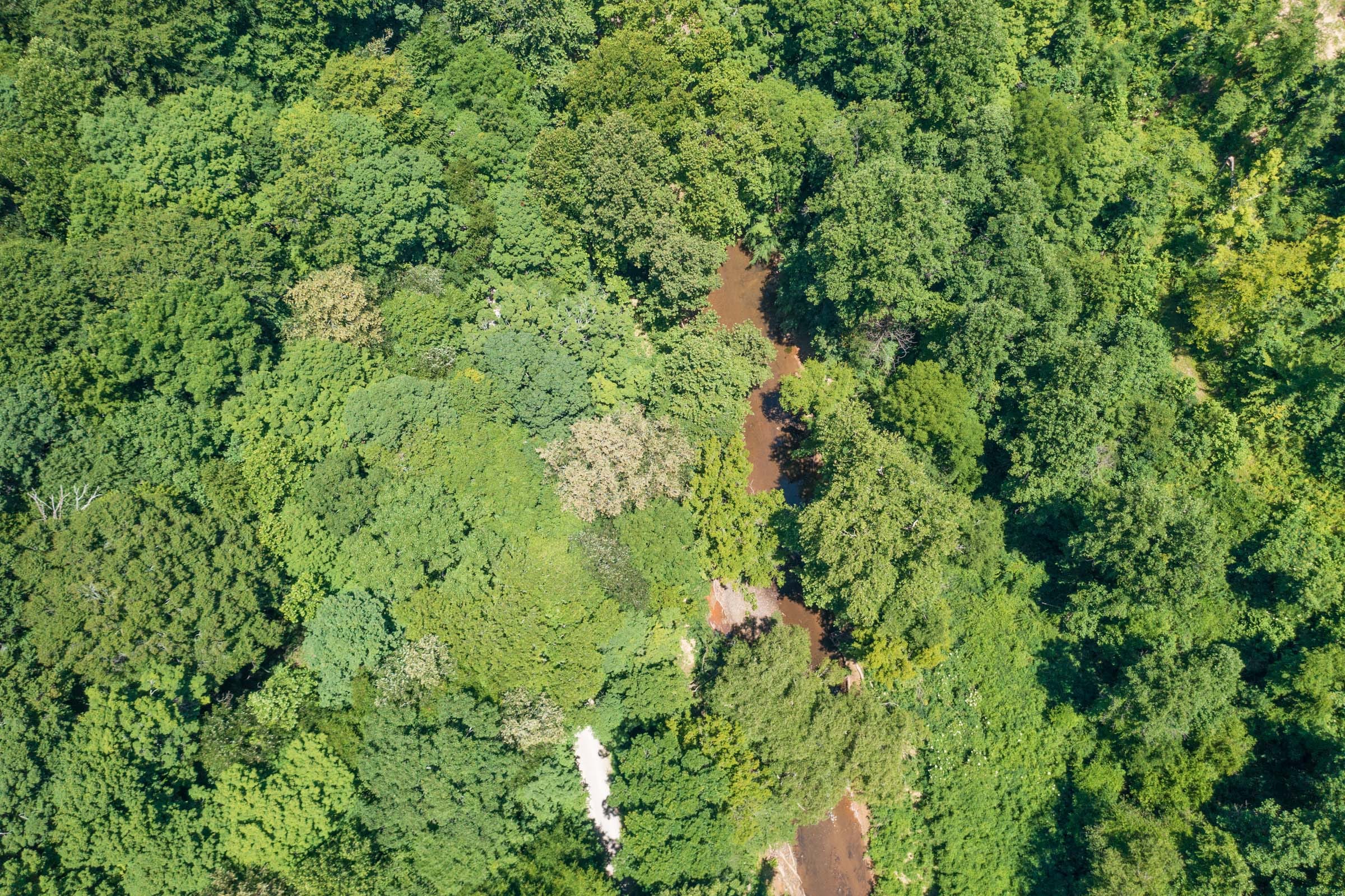 River’s Edge Tract 12 photo 3