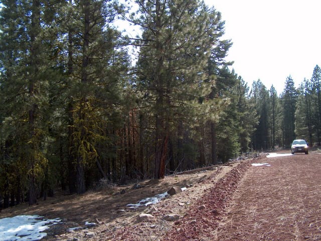 California Pines Tract 61 photo 1
