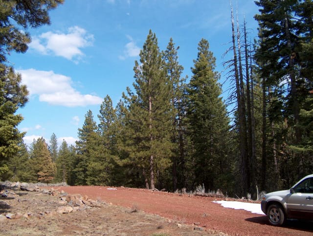 California Pines Tract 61 photo 2