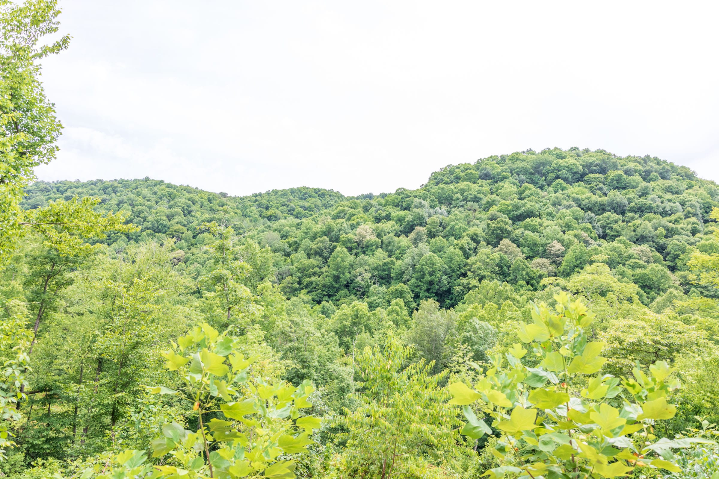 River’s Edge Tract 31 photo 2
