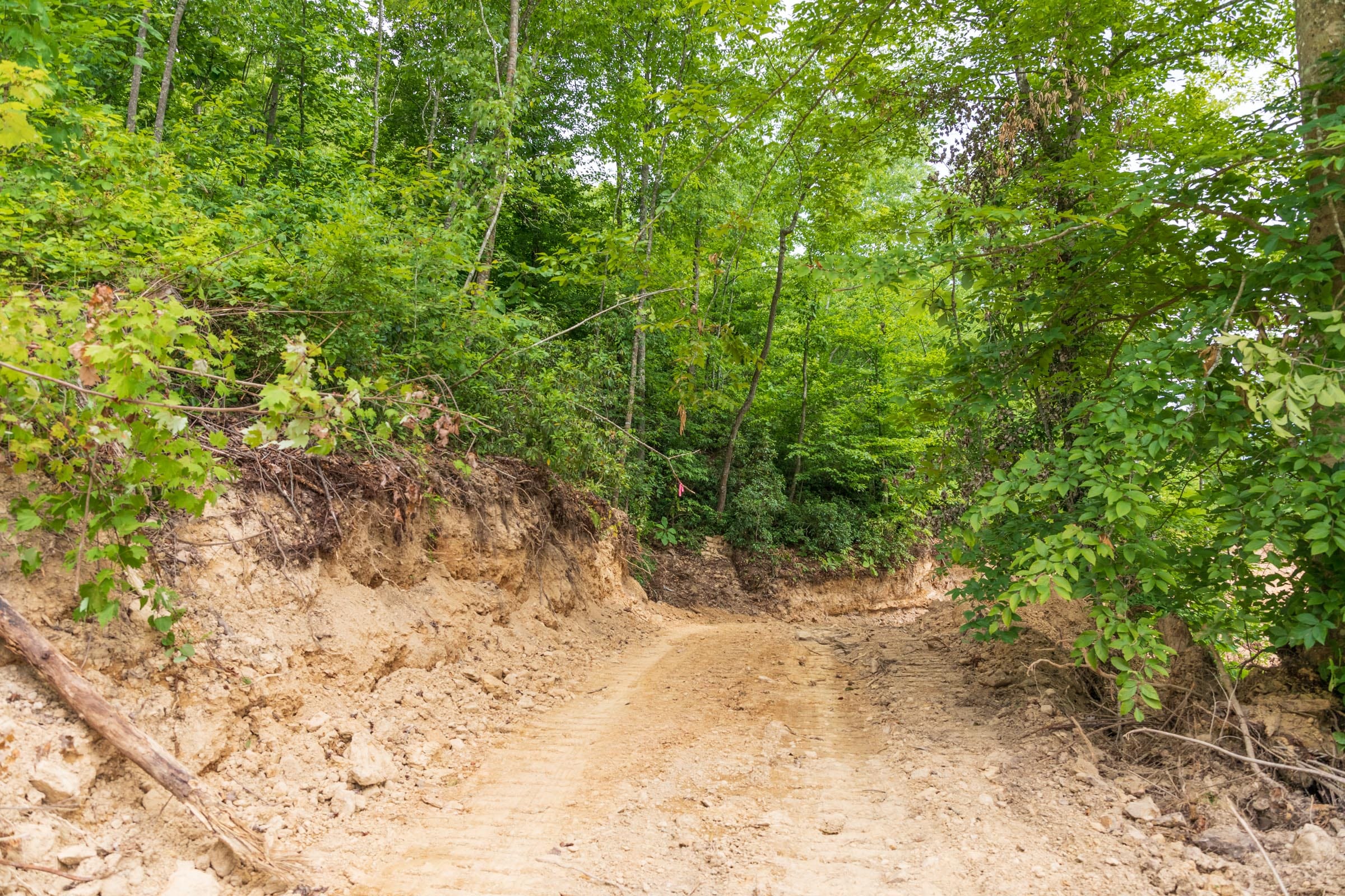 River’s Edge Tract 31 photo 1