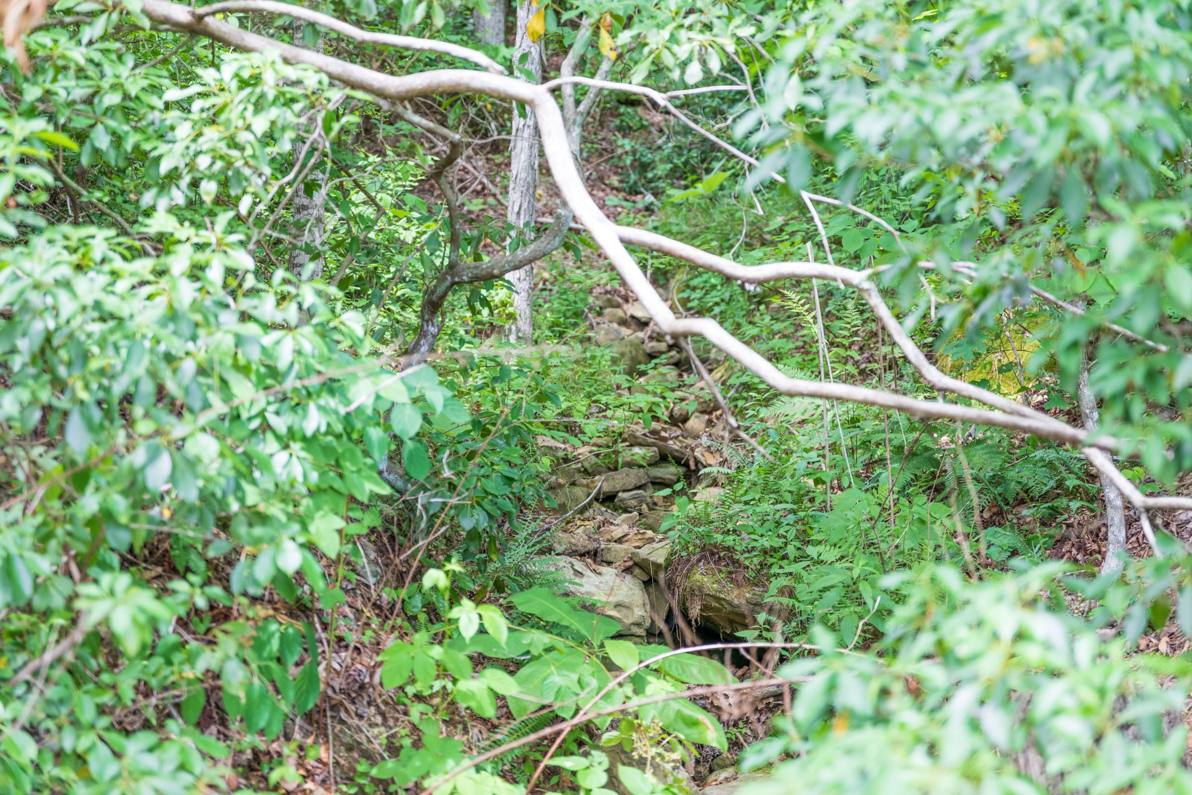 River’s Edge Tract 31 photo 4