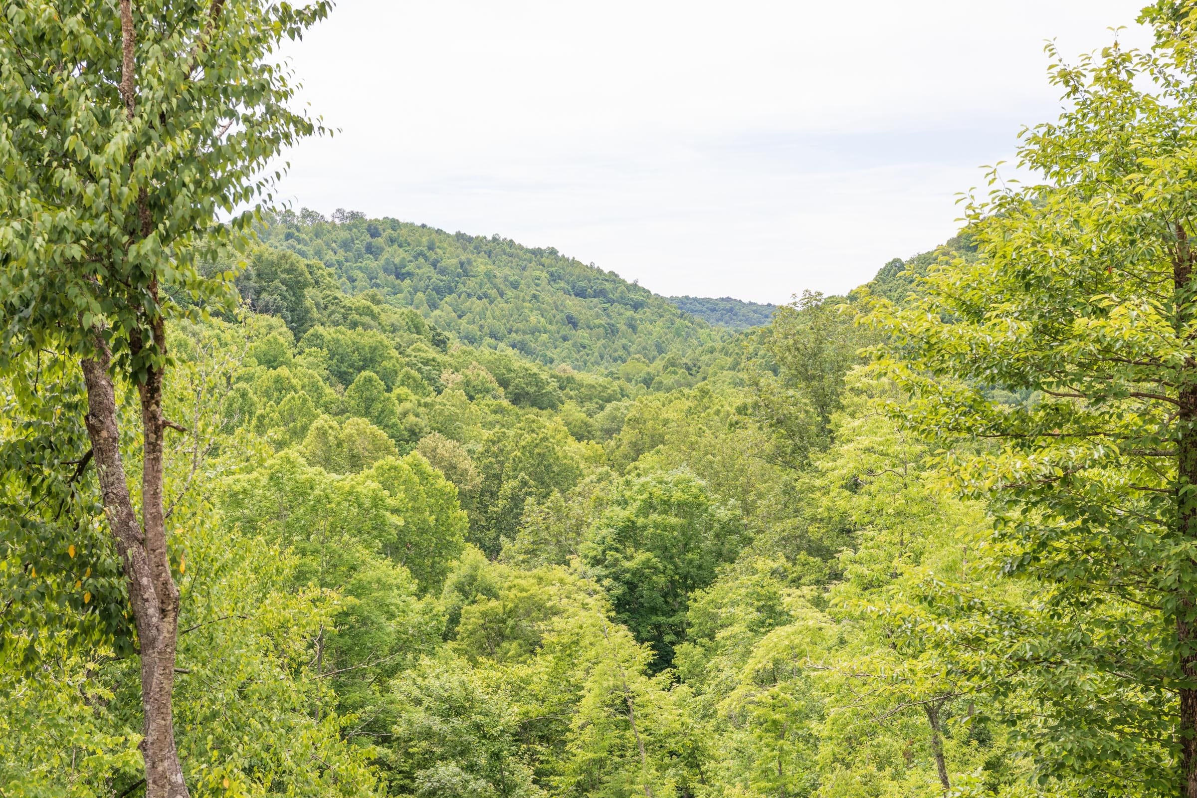 River’s Edge Tract 31 photo 6