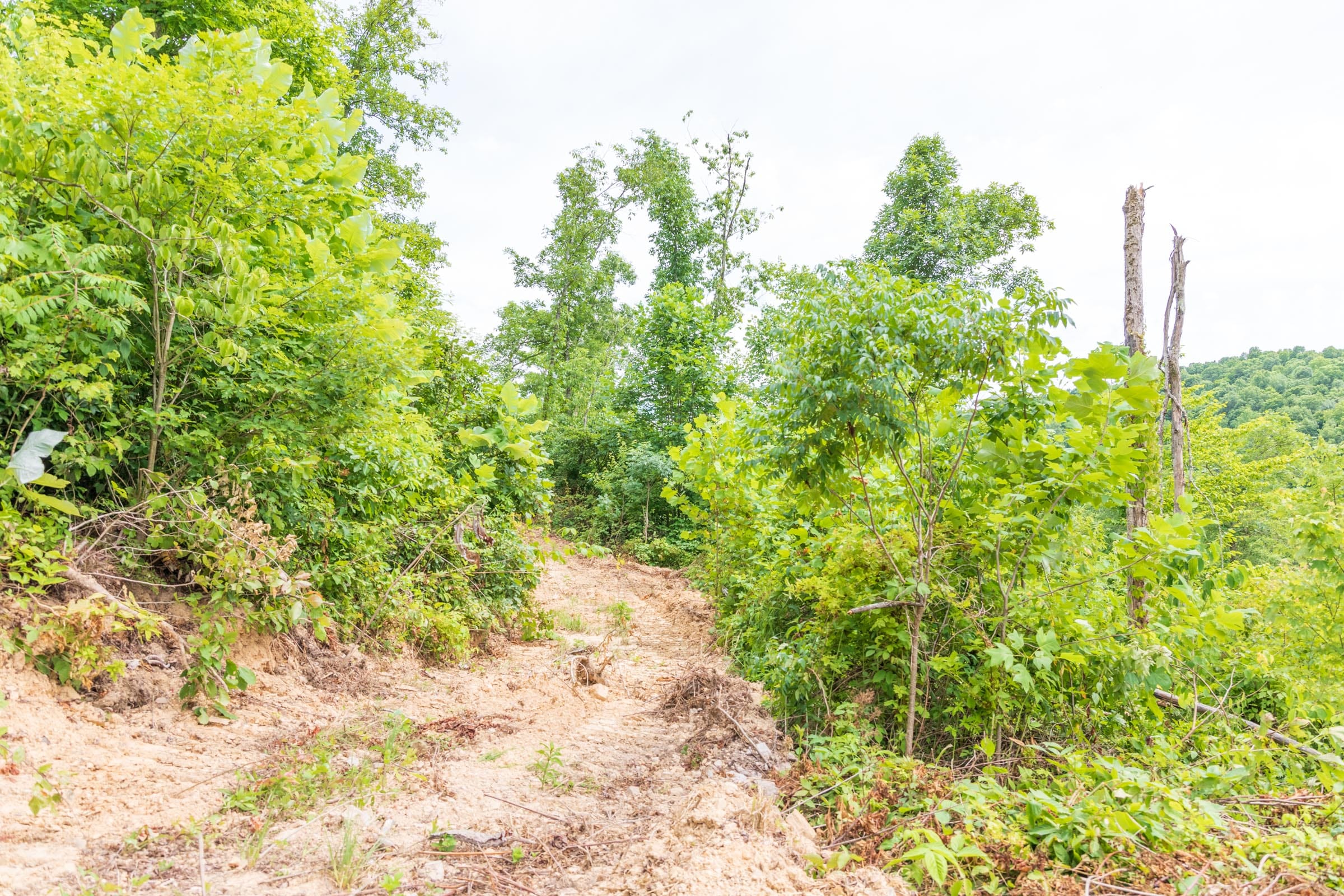 River’s Edge Tract 31 photo 5