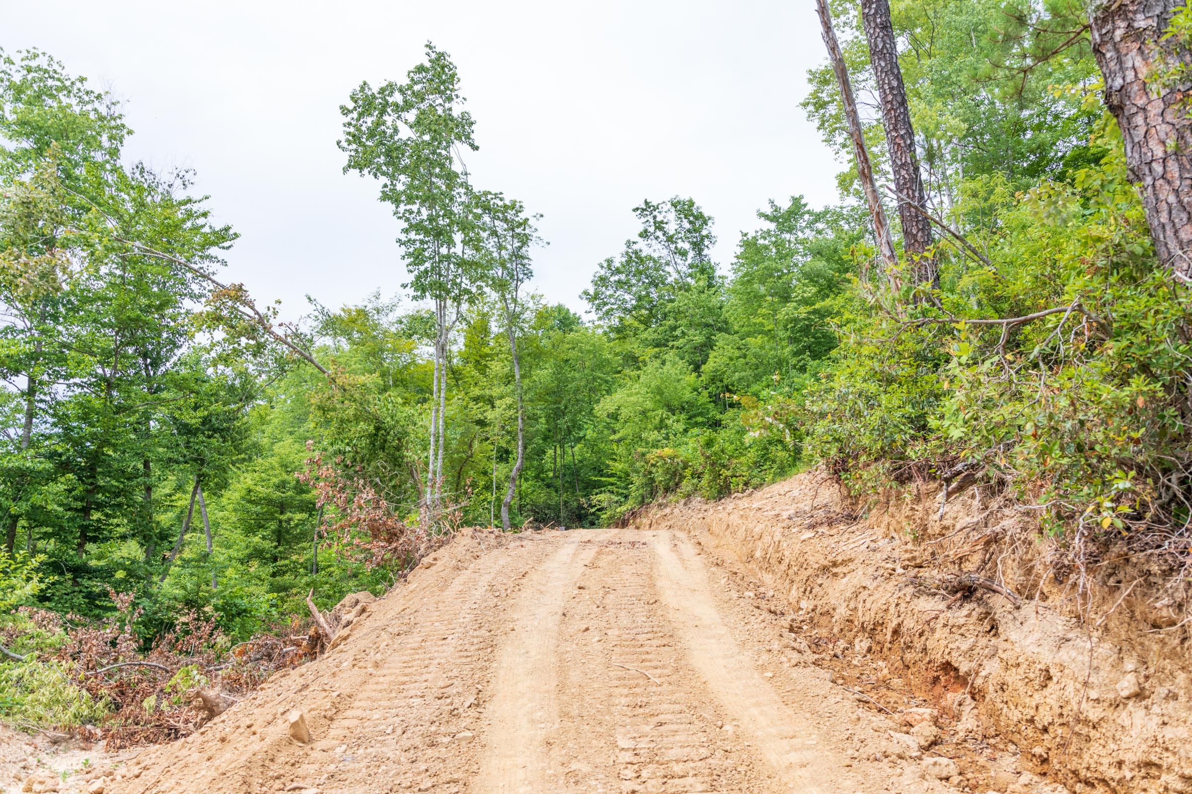 River’s Edge Tract 31 photo 7