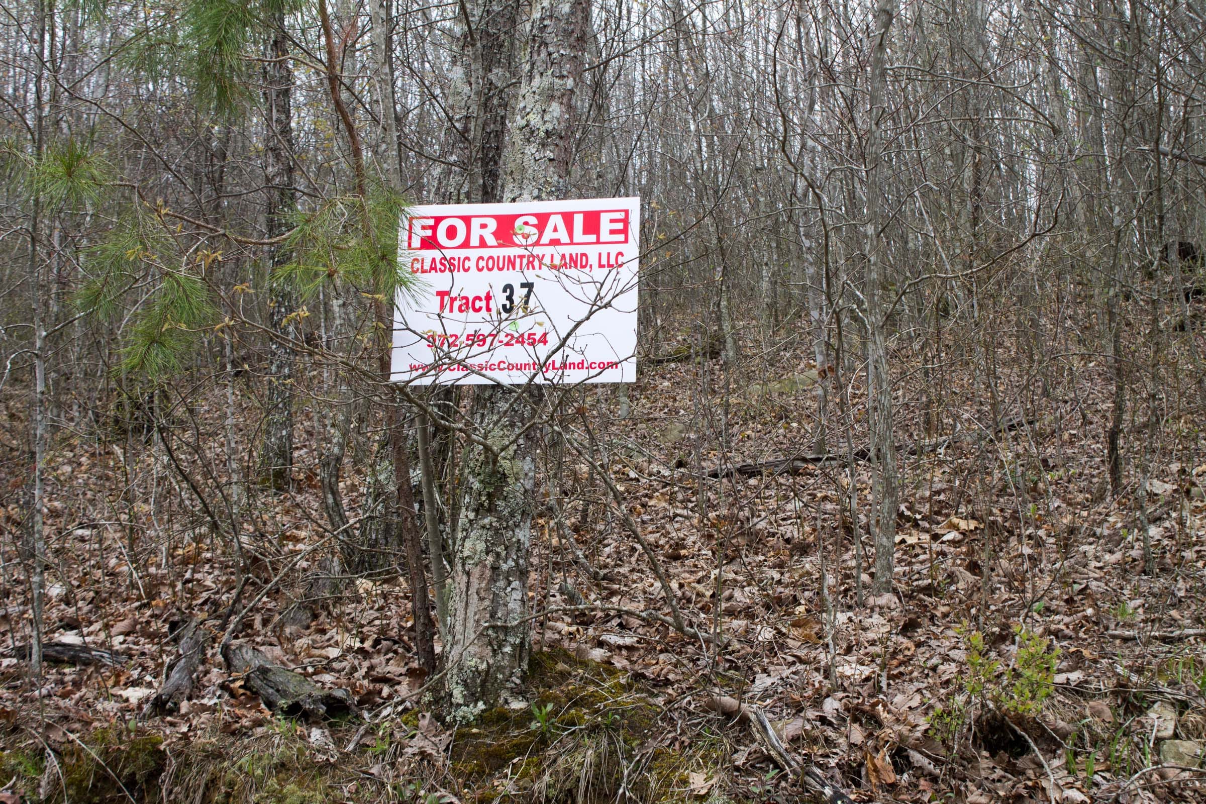 Hidden Hills Tract 37 photo 1