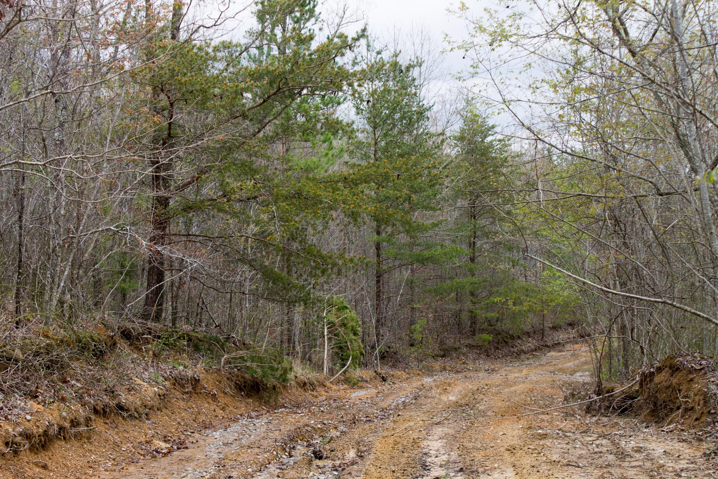 Hidden Hills Tract 37 photo 2