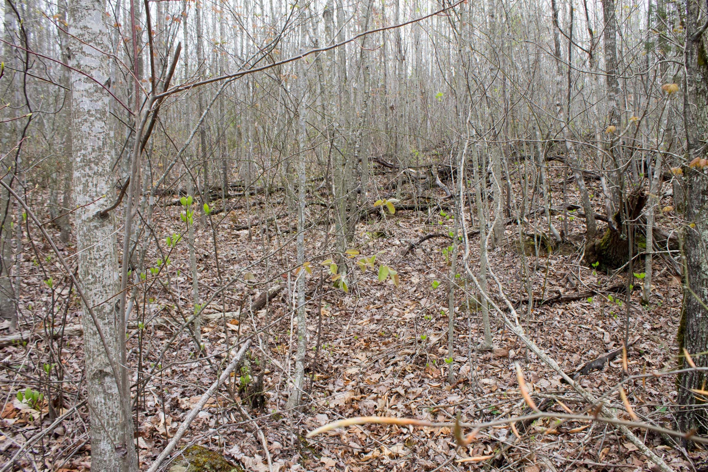 Hidden Hills Tract 37 photo 5