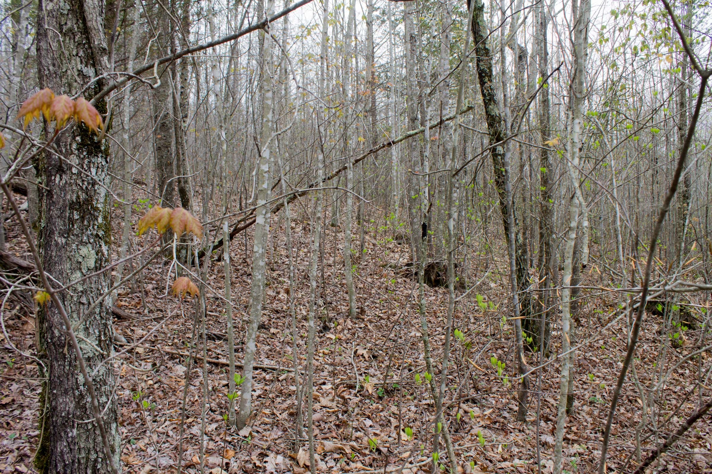 Hidden Hills Tract 37 photo 7