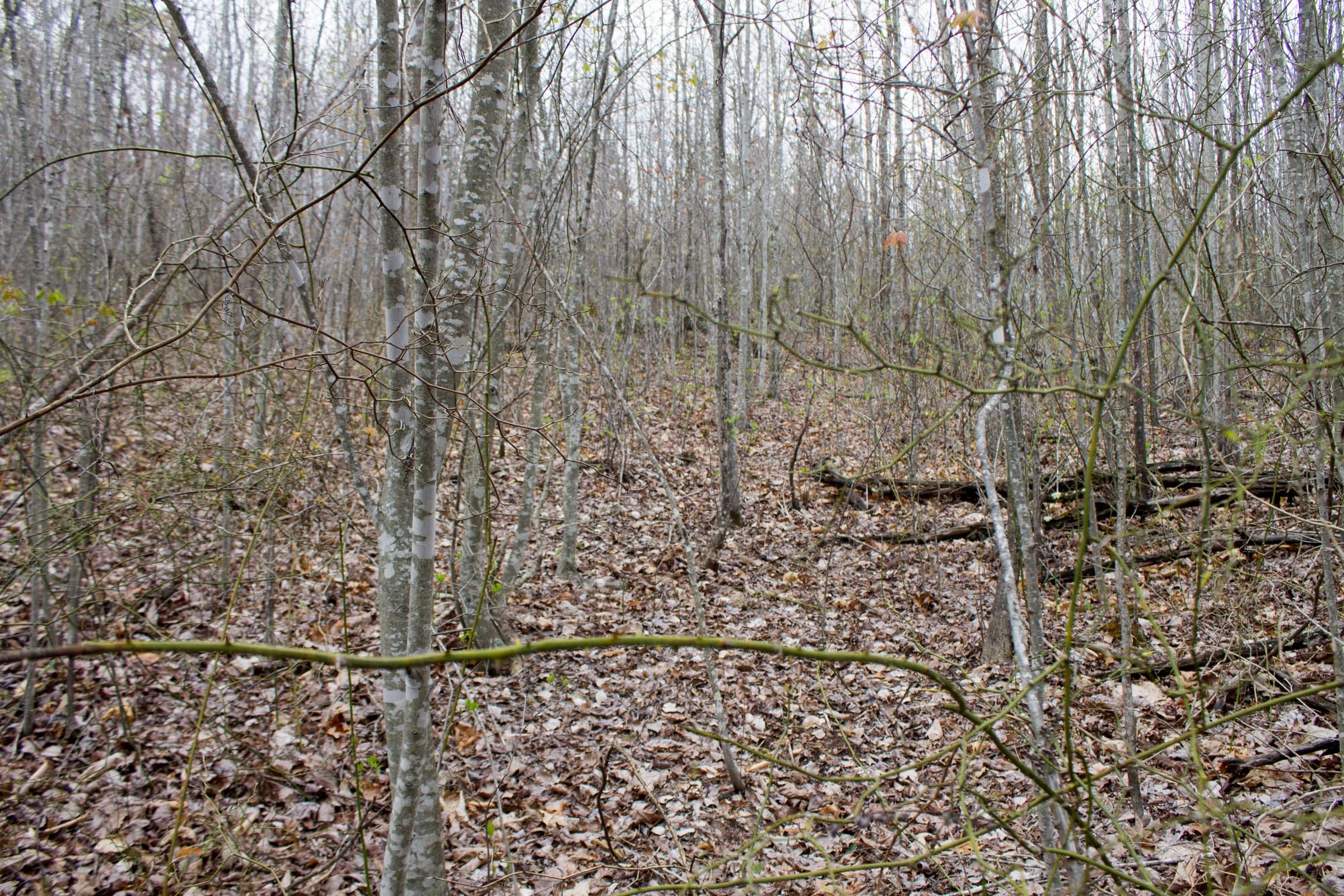 Hidden Hills Tract 37 photo 8