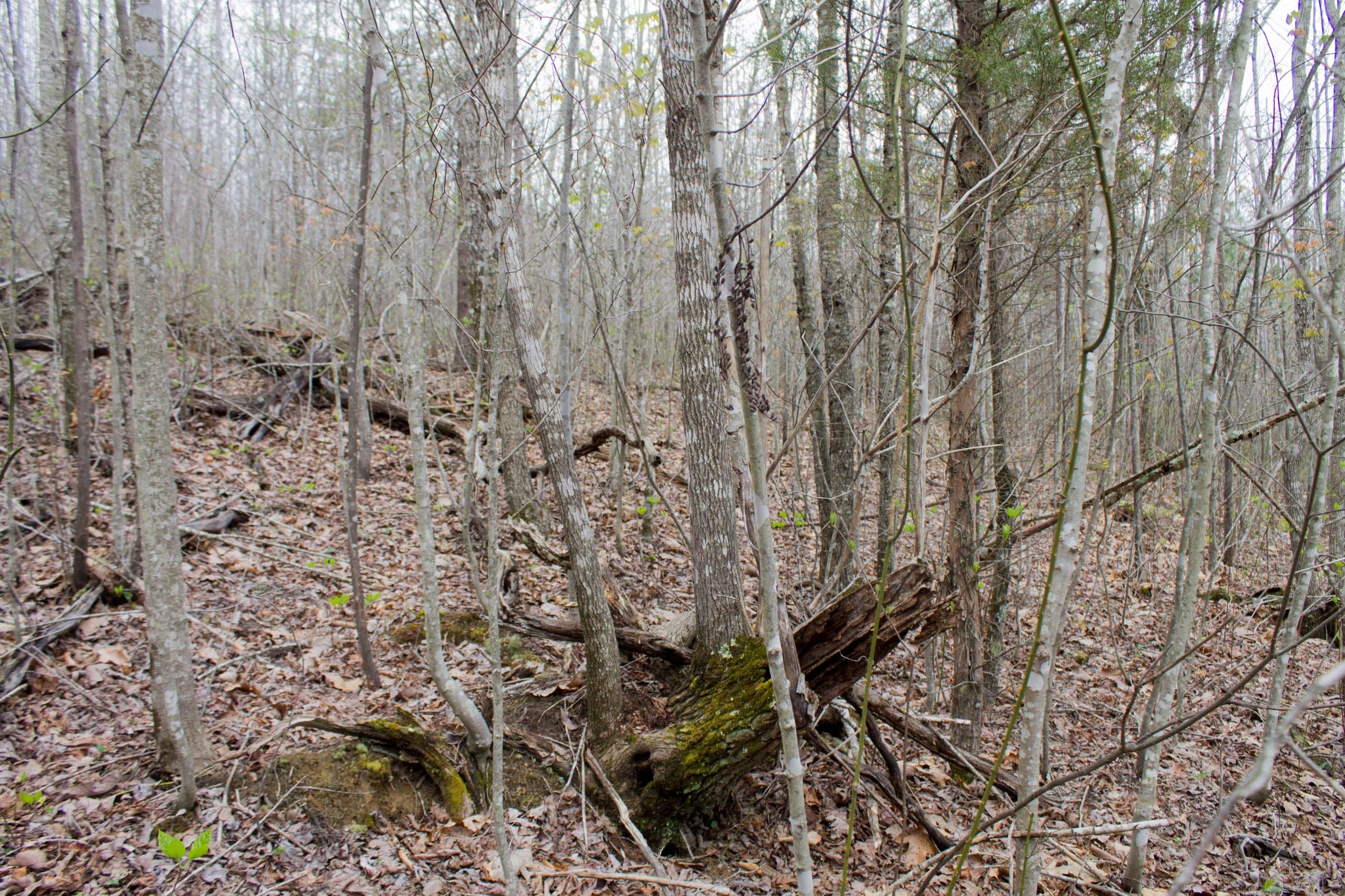 Hidden Hills Tract 37 photo 9