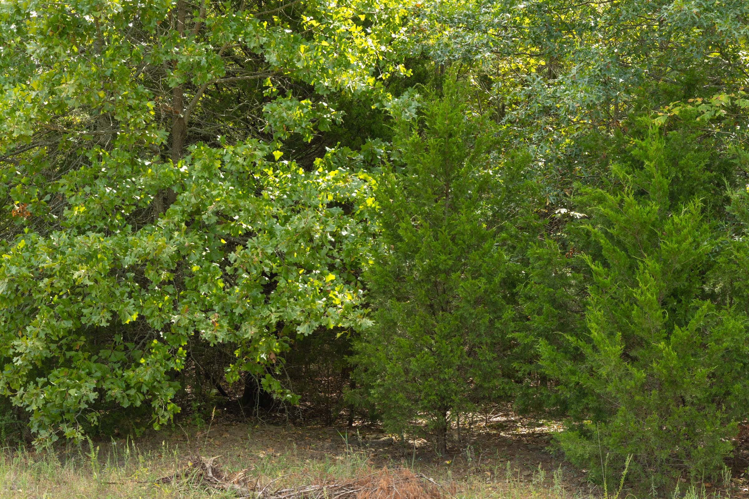 Reserves At Cattail Cove Phase II Tract 40 photo 11