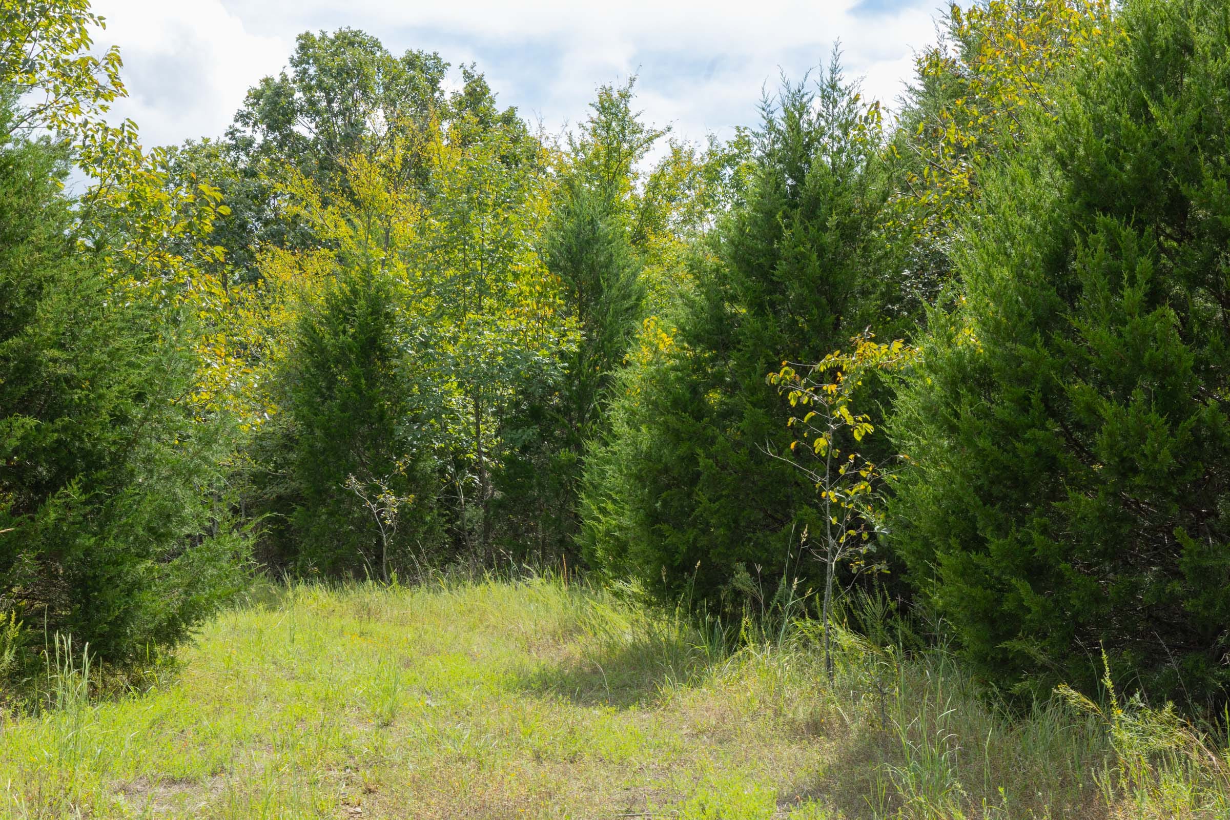 Reserves At Cattail Cove Phase II Tract 40 photo 7