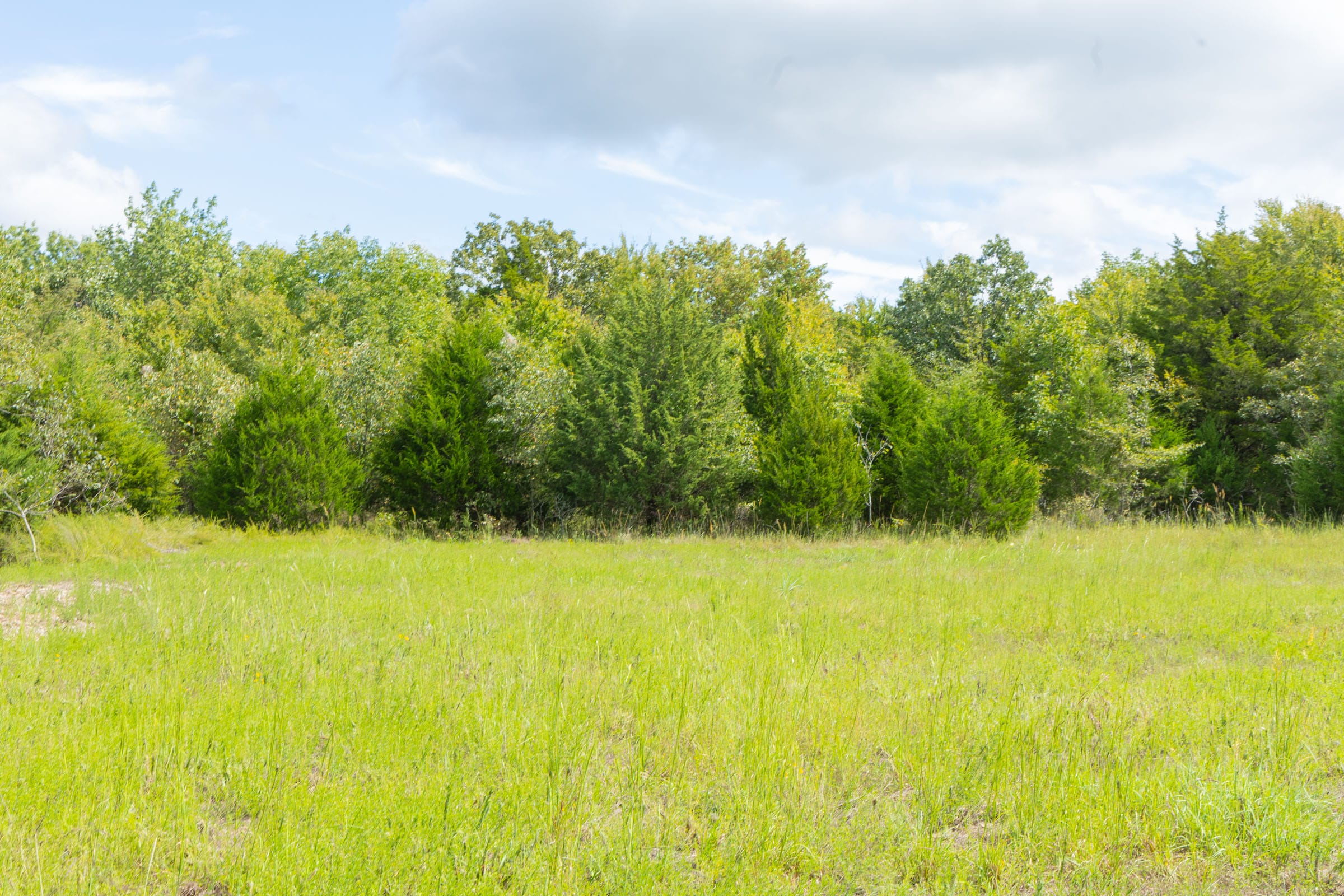 Reserves At Cattail Cove Phase II Tract 40 photo 4
