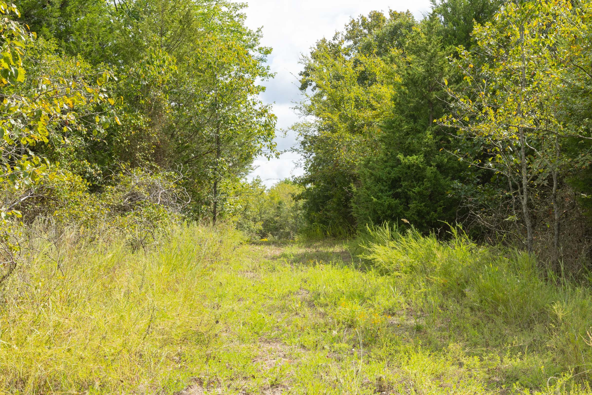 Reserves At Cattail Cove Phase II Tract 40 photo 5