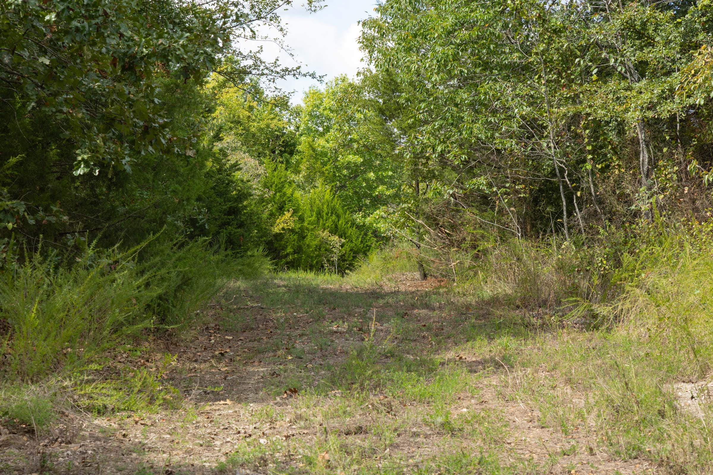Reserves At Cattail Cove Phase II Tract 40 photo 6