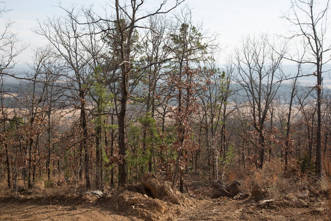 Stone Creek Phase III Tract 91 photo 3