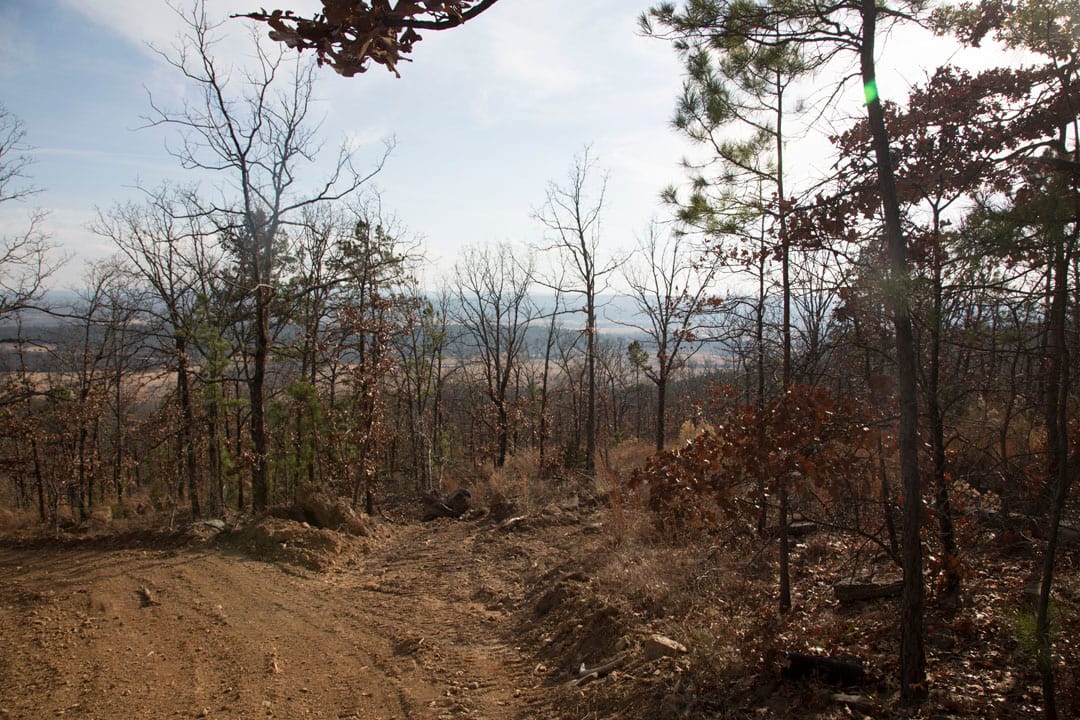 Stone Creek Phase III Tract 91 photo 4
