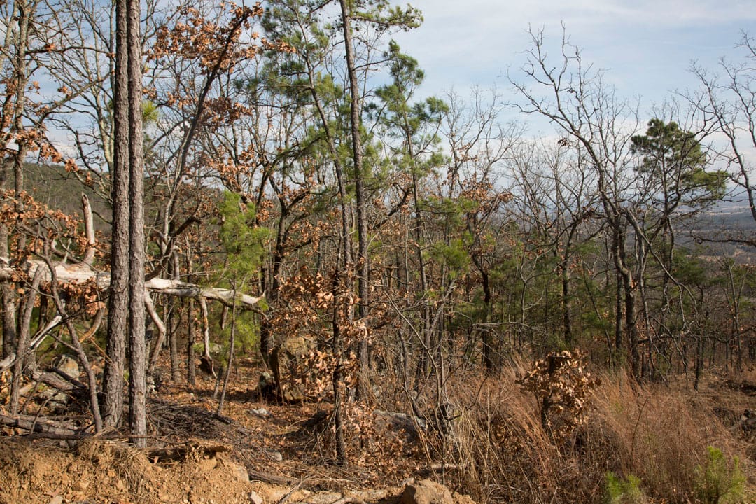 Stone Creek Phase III Tract 91 photo 5