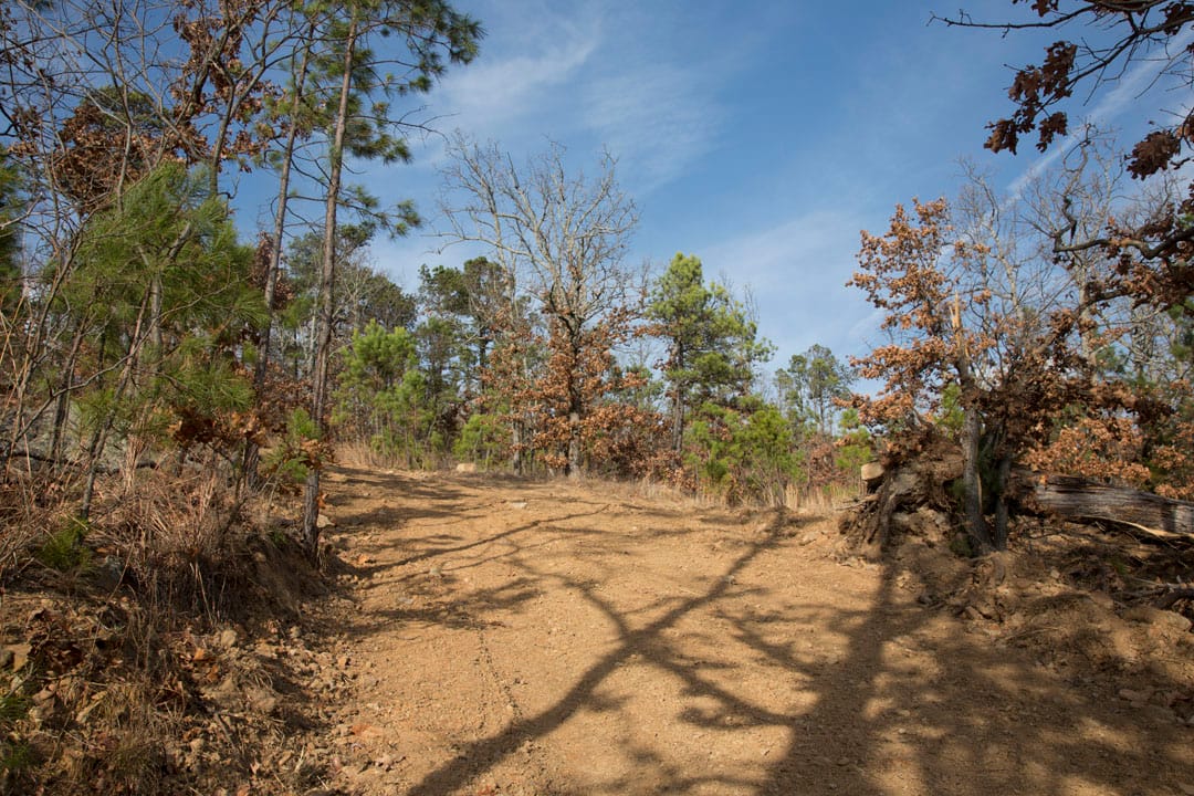 Stone Creek Phase III Tract 91 photo 6