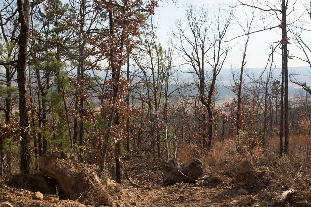 Stone Creek Phase III Tract 91 photo 8