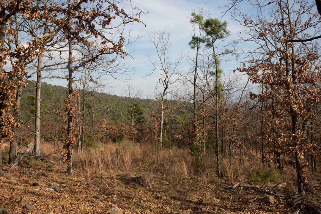Stone Creek Phase III Tract 91 photo 10