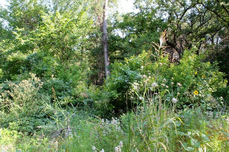 Tahitian Village Tract 737 photo 1