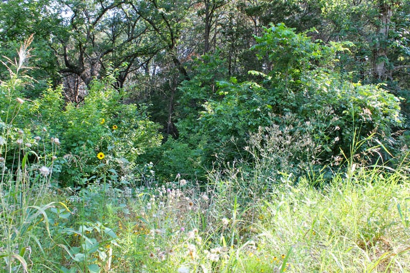 Tahitian Village Tract 737 photo 2