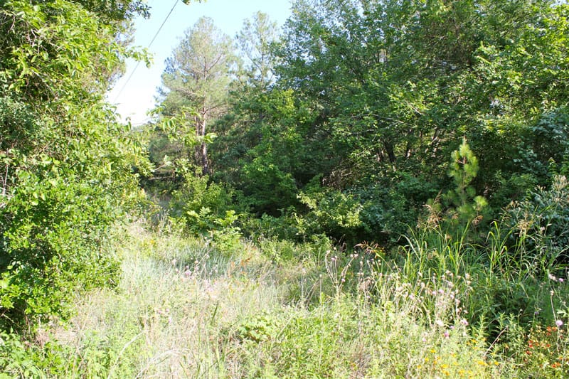 Tahitian Village Tract 737 photo 3