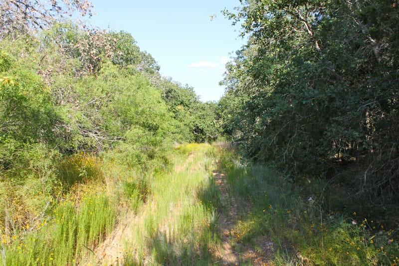 Tahitian Village Tract 737 photo 4