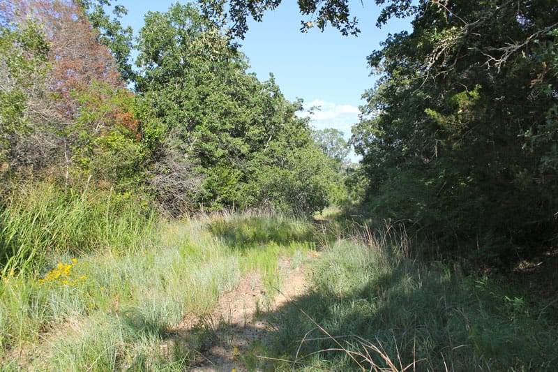 Tahitian Village Tract 737 photo 5