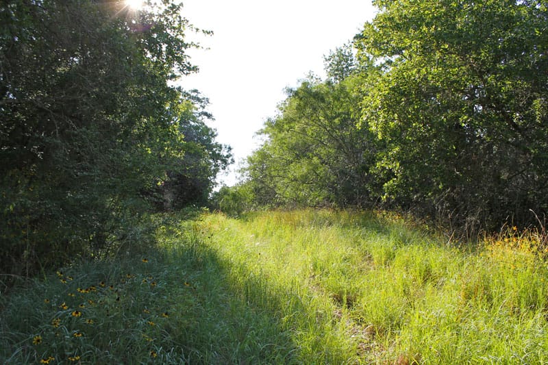 Tahitian Village Tract 737 photo 6