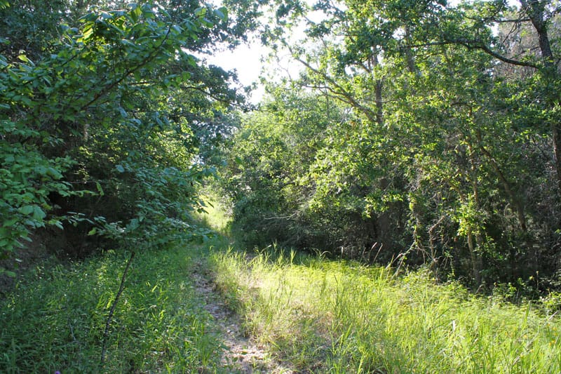 Tahitian Village Tract 737 photo 8