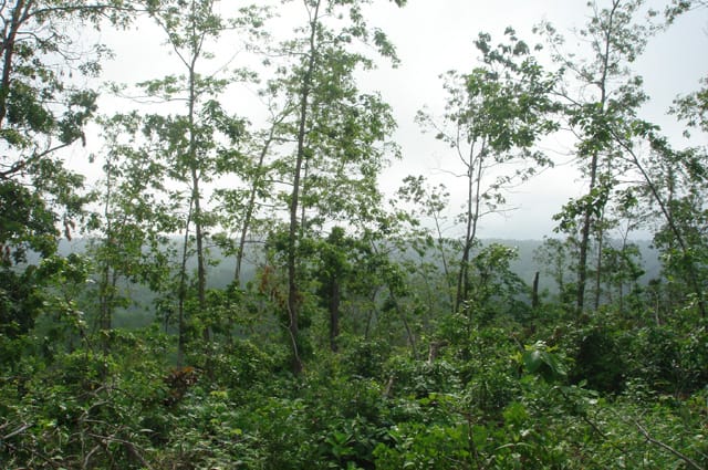Deer Valley Tract 15 photo 4