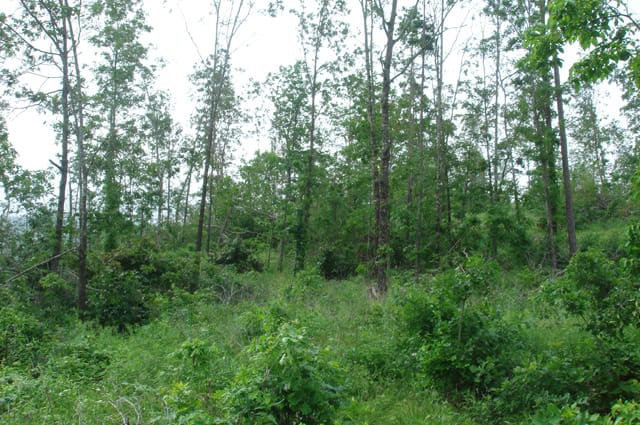 Deer Valley Tract 15 photo 5