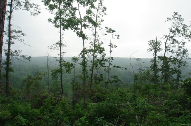 Deer Valley Tract 15 photo 6