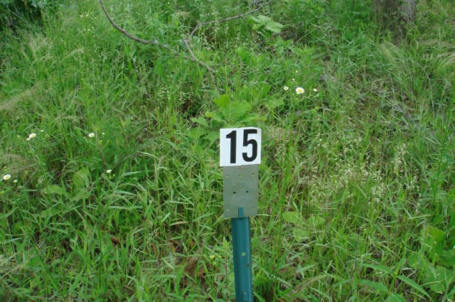 Deer Valley Tract 15 photo 2