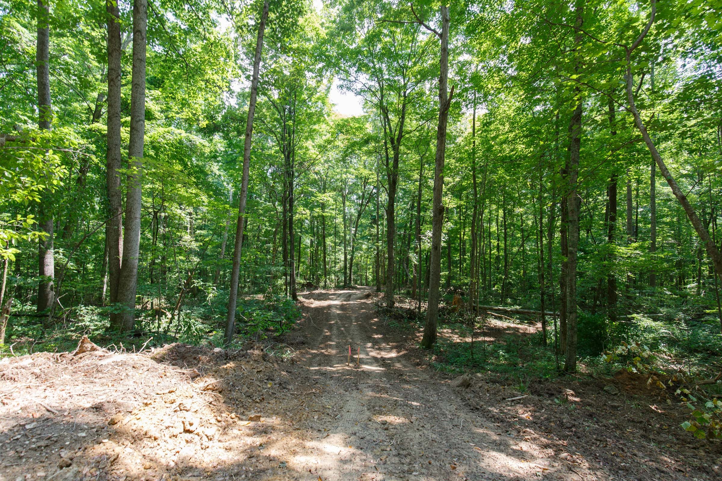 Rolling Hills Tract 10 photo 4
