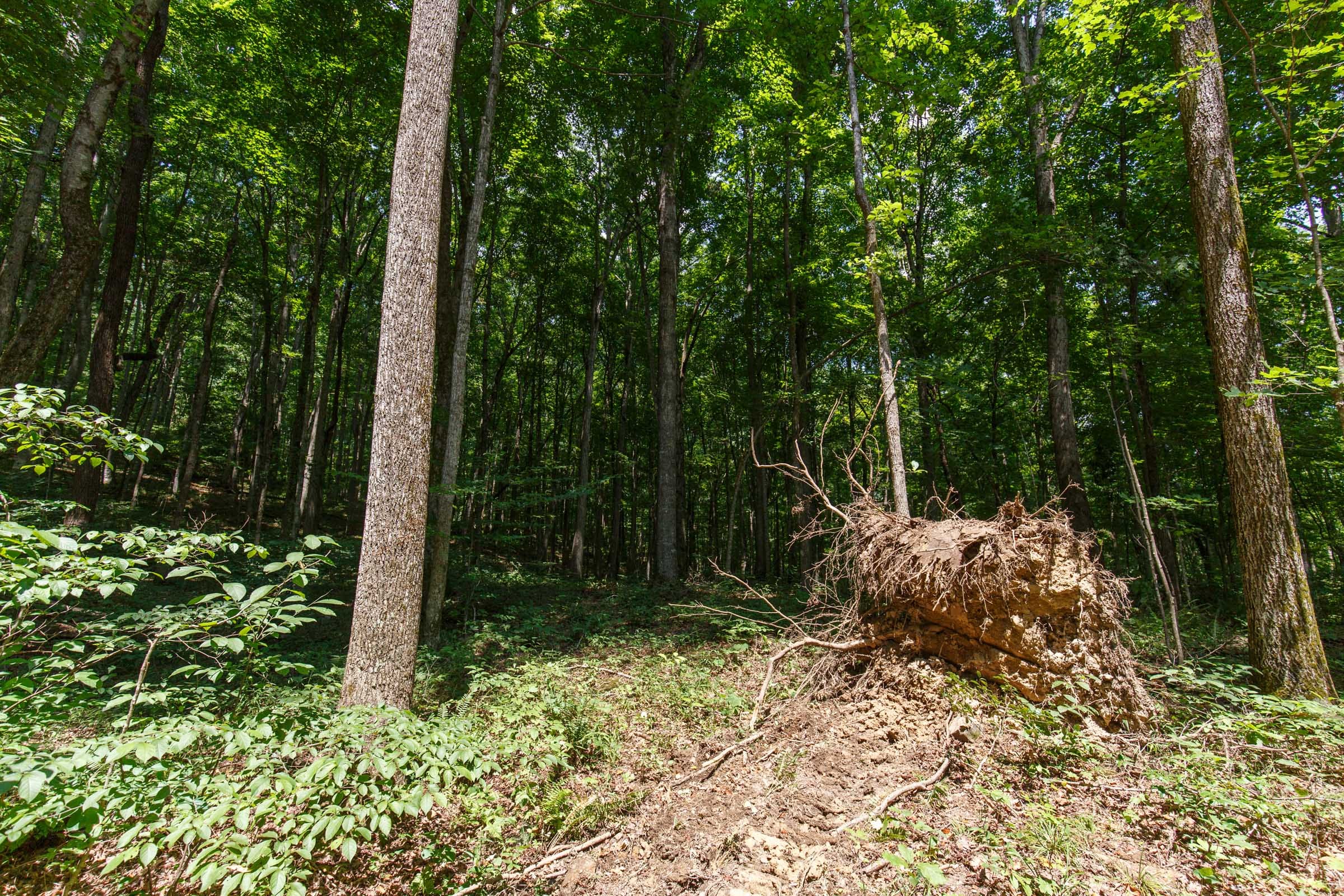 Rolling Hills Tract 10 photo 5