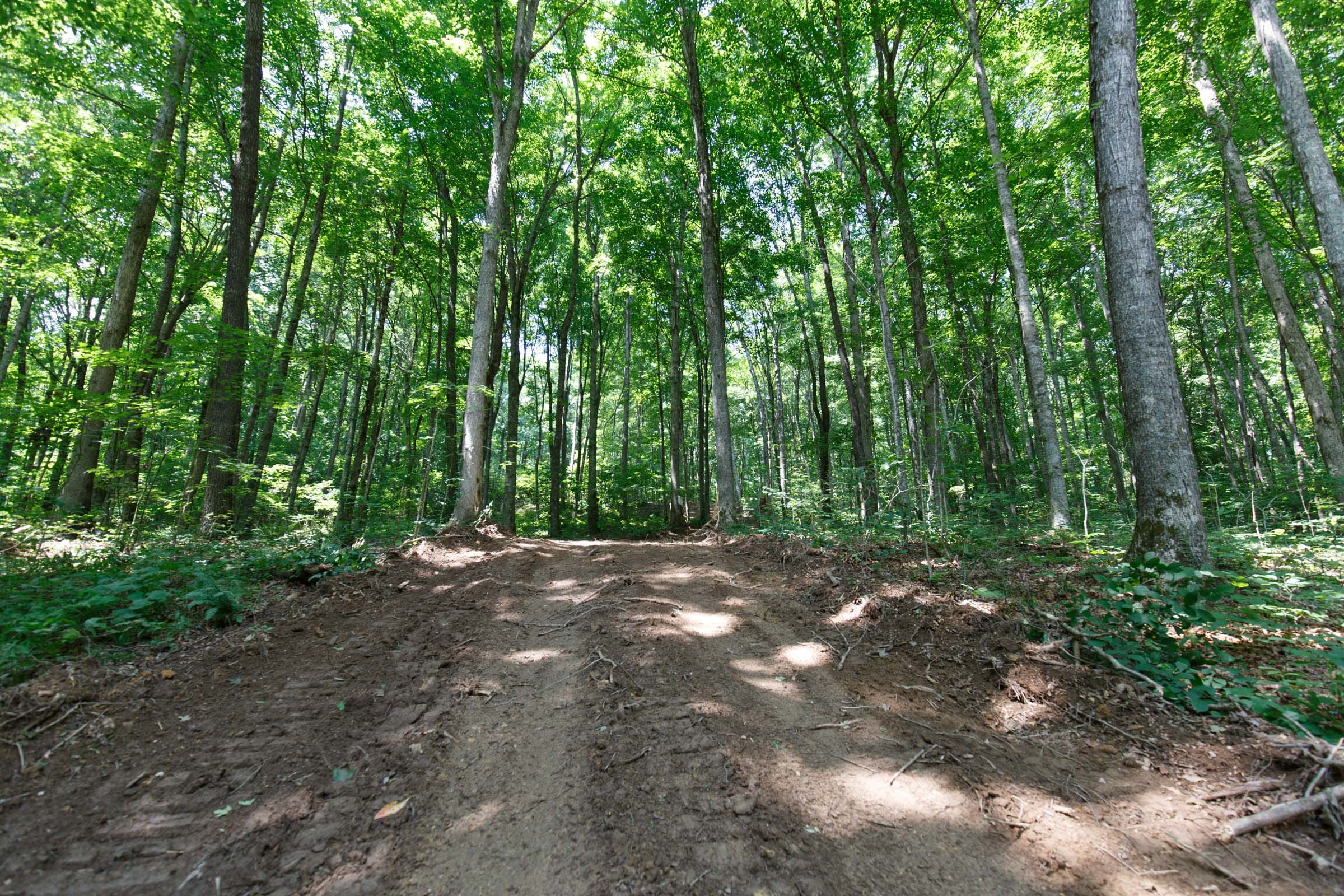 Rolling Hills Tract 10 photo 6