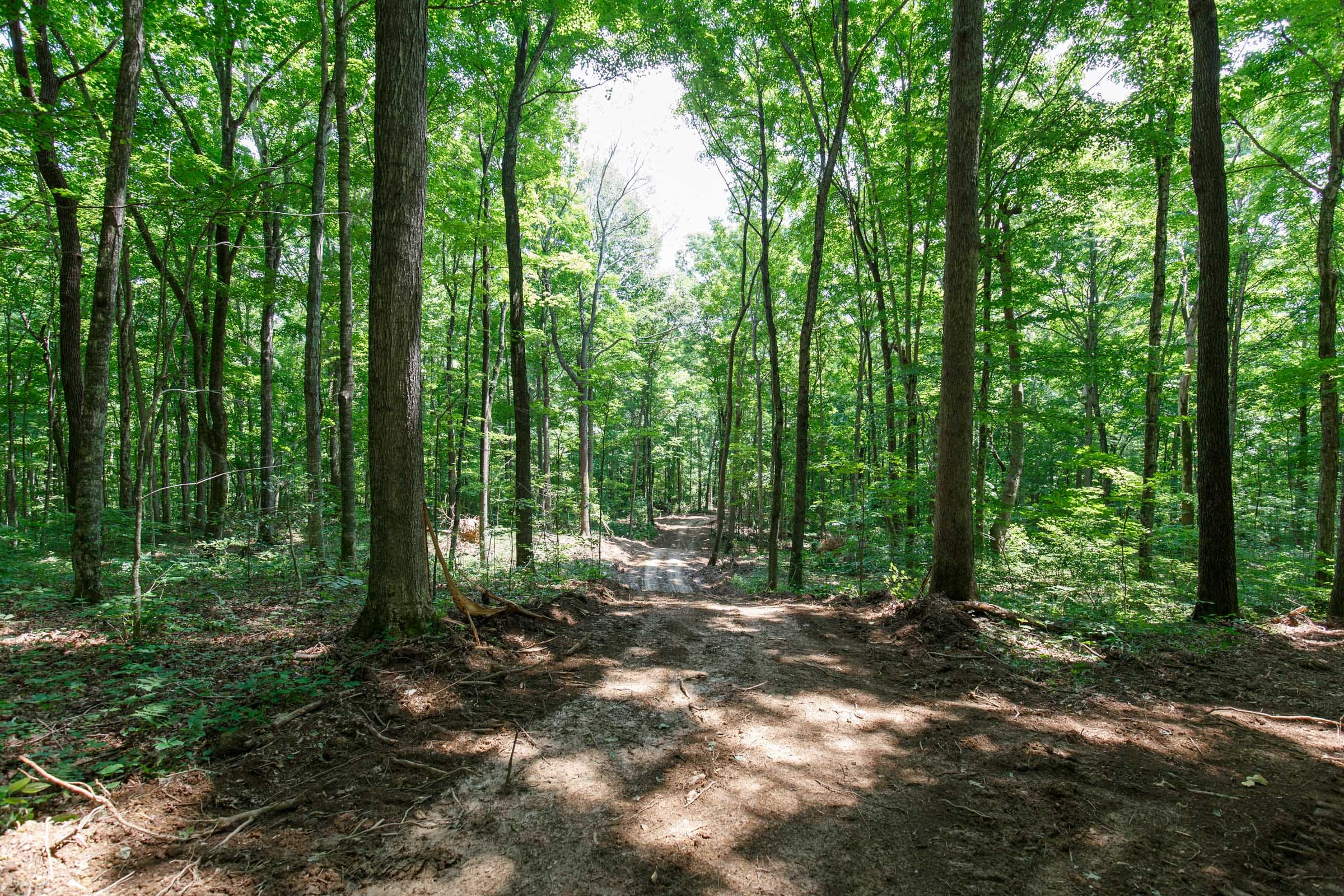 Rolling Hills Tract 10 photo 2