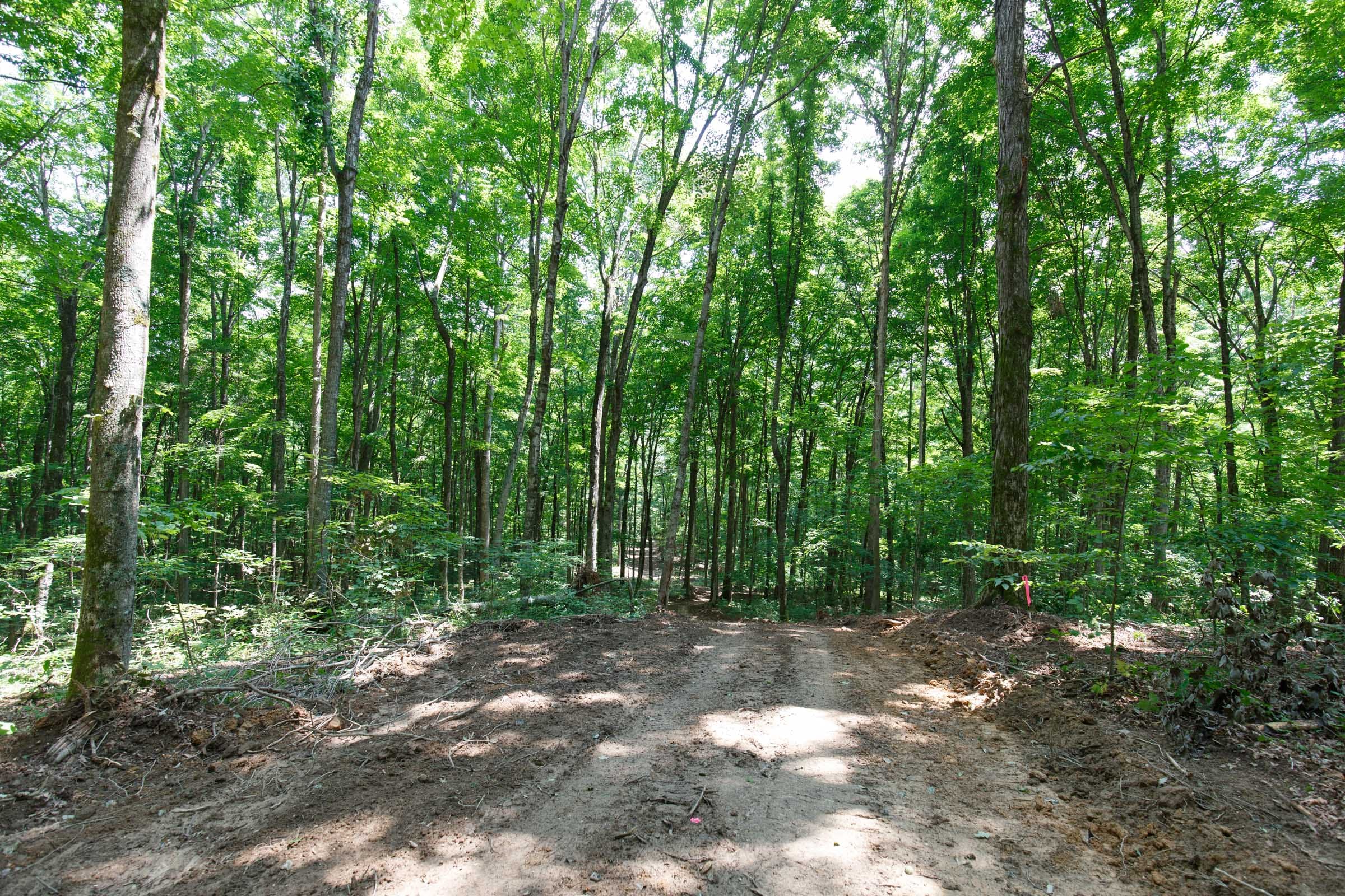 Rolling Hills Tract 10 photo 8