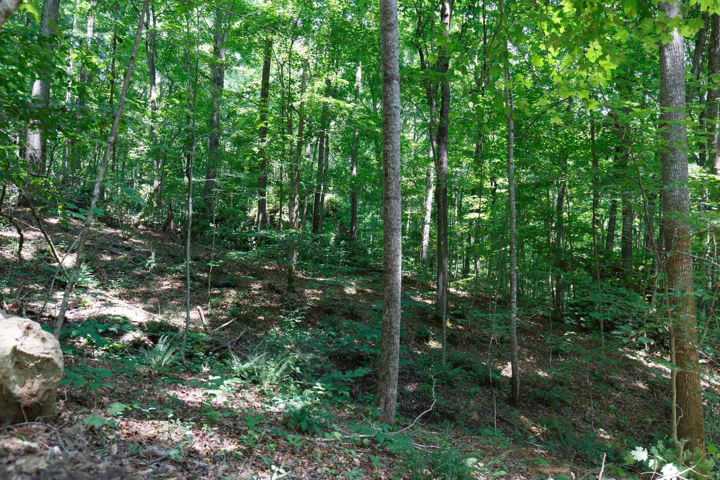 Rolling Hills Tract 10 photo 11