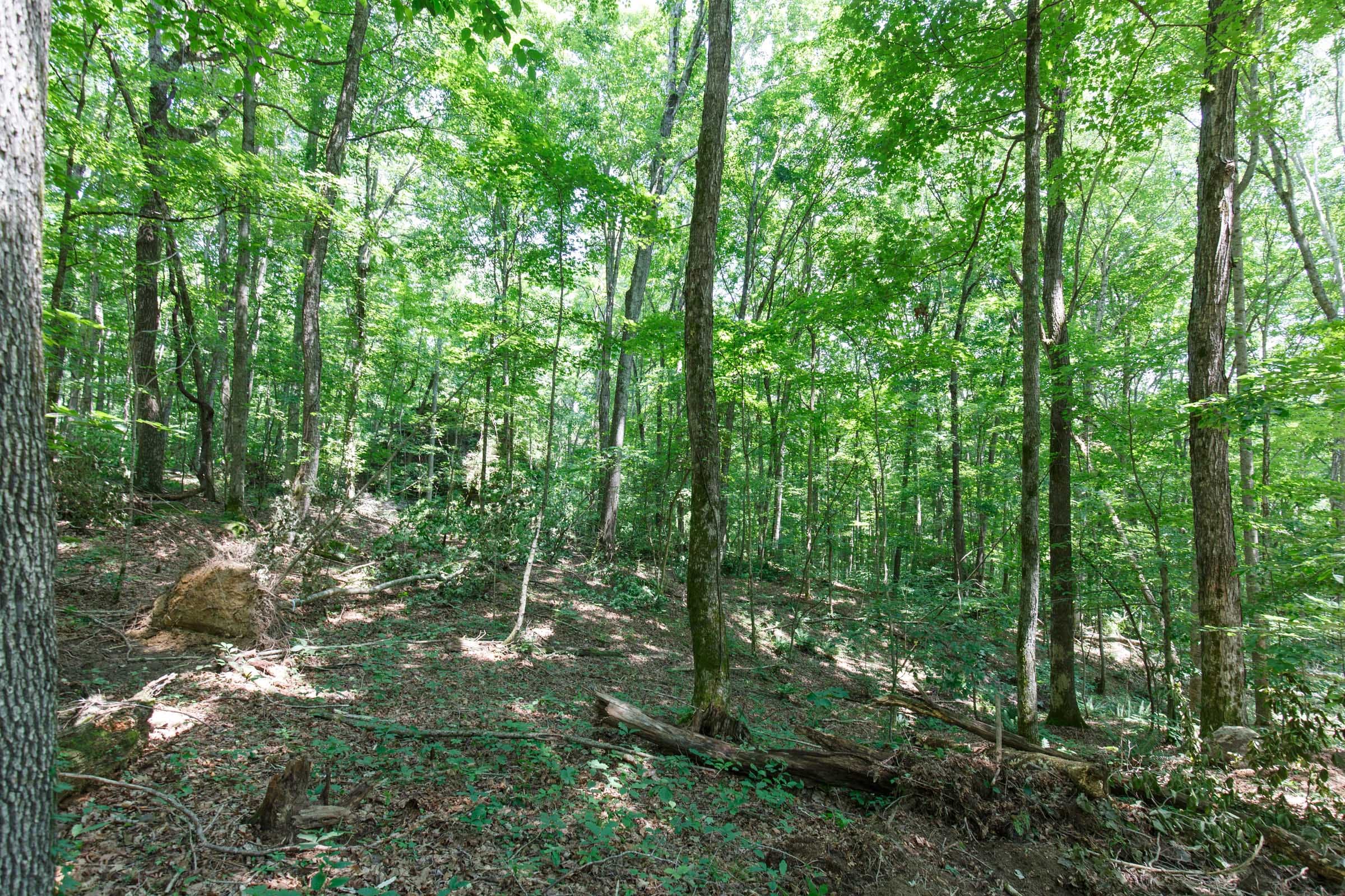 Rolling Hills Tract 10 photo 13